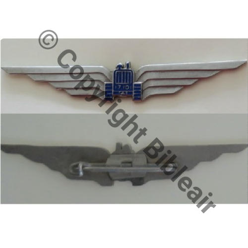 NH  CIE TERRAIN 17.101  SM Bol fenetre allonge Dos lisse 70x11mm Src.Y.GENTY 158Eur(x3) 